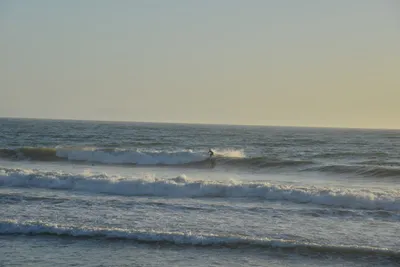 DSC_7253 (Large).JPG